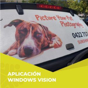 windows vision